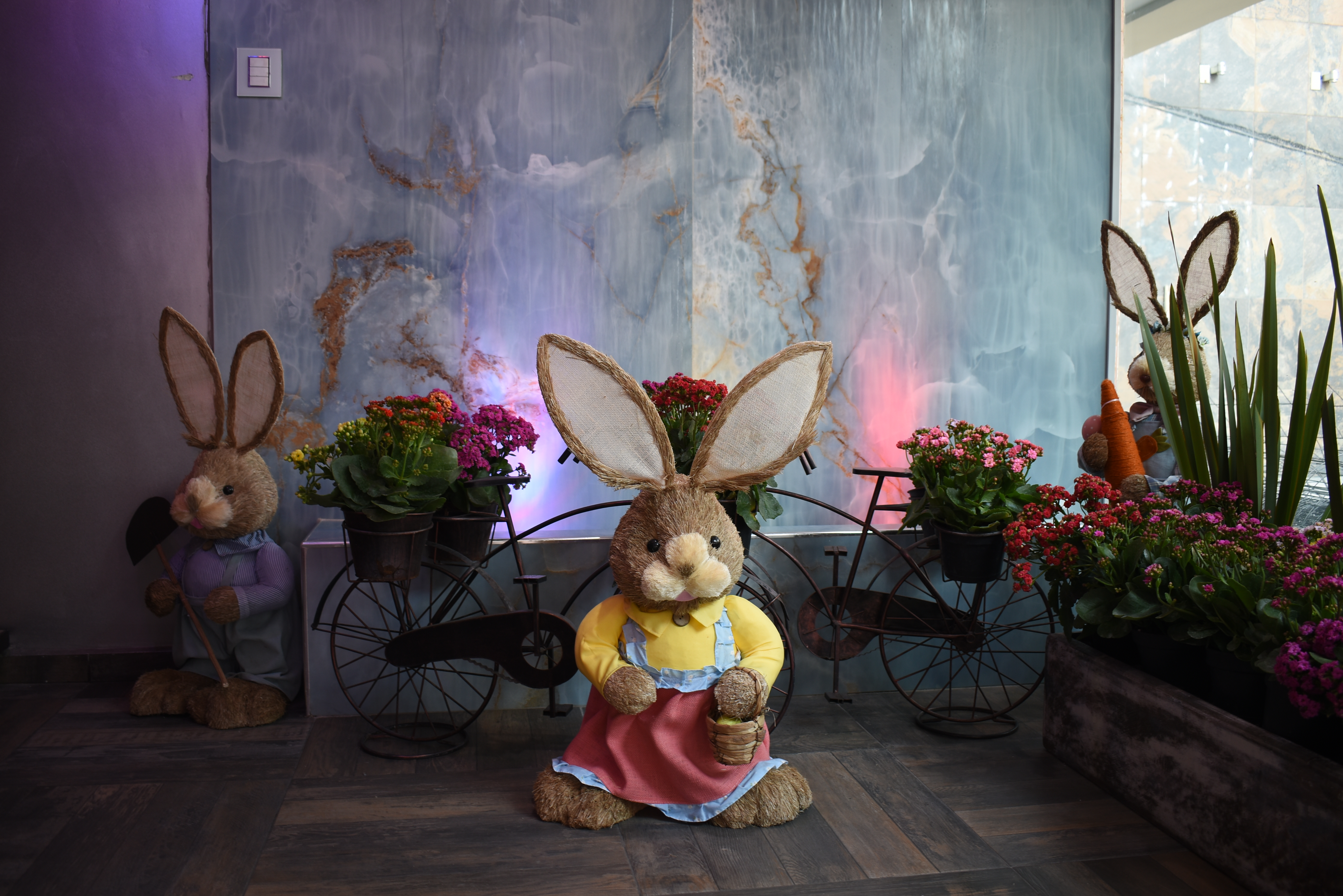 Salón Principal Kids Blue & Pink